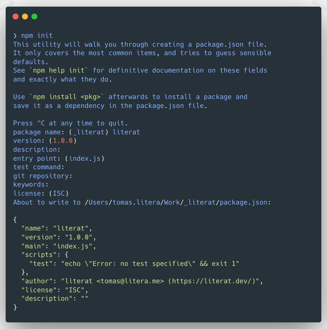 npm init with npm test script as default